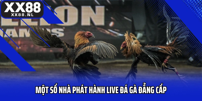 Một số nhà phát hành live đá gà đẳng cấp
